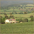 Ingrandisci
