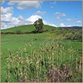 Ingrandisci