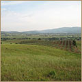 Ingrandisci